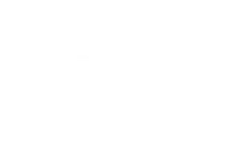 Discovery Optics